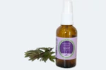 Kép 1/3 - Izsóp aromavíz Szent-Pál Völgyi 50ml