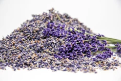 Goloka levendula virág 1000g
