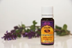 Borsmenta illóolaj 10ml Borsmenta illóolaj 10ml