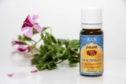 Geránium illóolaj 10ml Geránium illóolaj 10ml